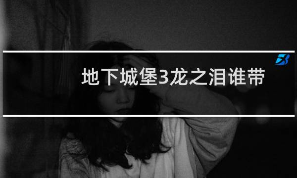 地下城堡3龙之泪谁带