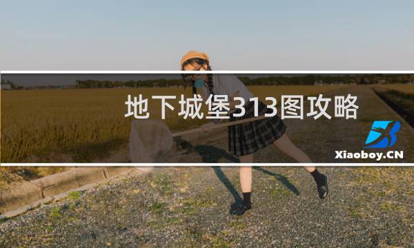 地下城堡313图攻略