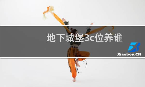 地下城堡3c位养谁