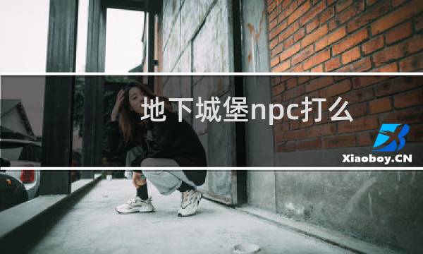 地下城堡npc打么