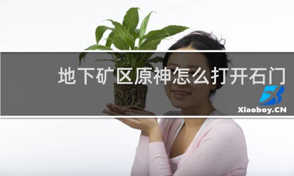地下矿区原神怎么打开石门
