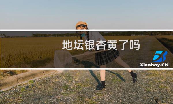 地坛银杏黄了吗