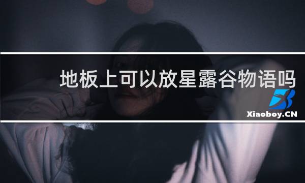 地板上可以放星露谷物语吗
