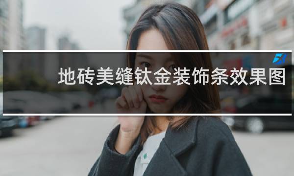 地砖美缝钛金装饰条效果图