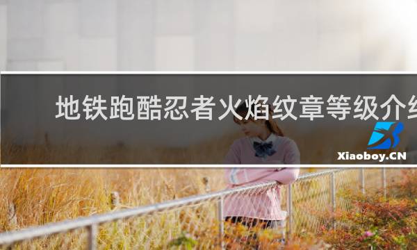 地铁跑酷忍者火焰纹章等级介绍