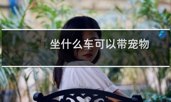 坐什么车可以带宠物