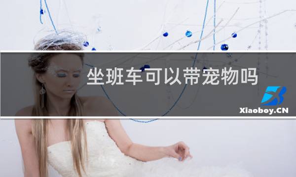 坐班车可以带宠物吗