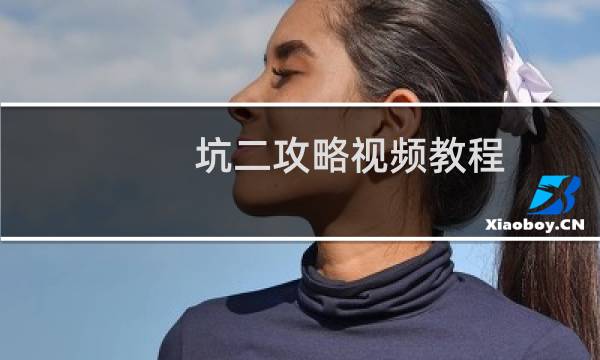 坑二攻略视频教程
