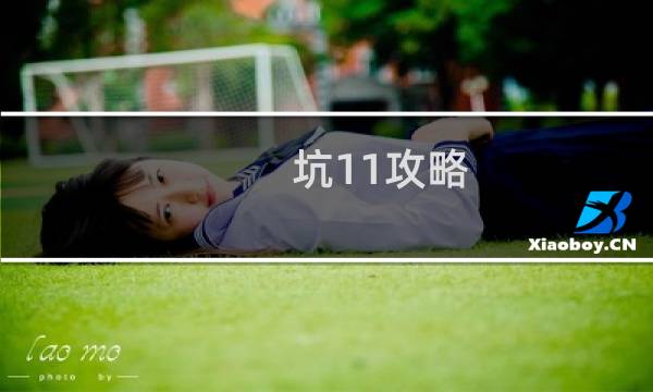 坑11攻略.