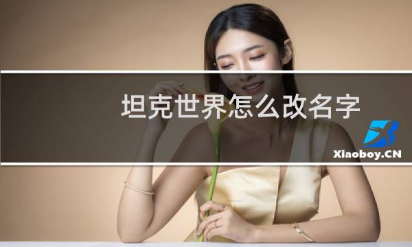 坦克世界怎么改名字