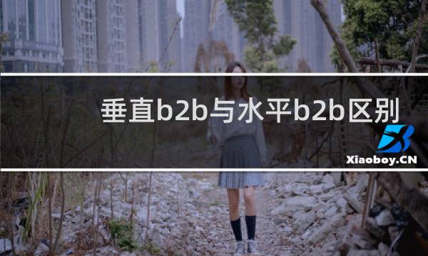 垂直b2b与水平b2b区别