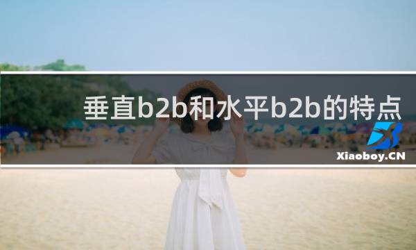垂直b2b和水平b2b的特点