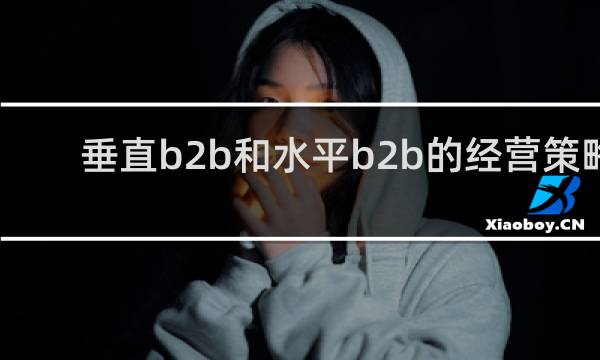 垂直b2b和水平b2b的经营策略