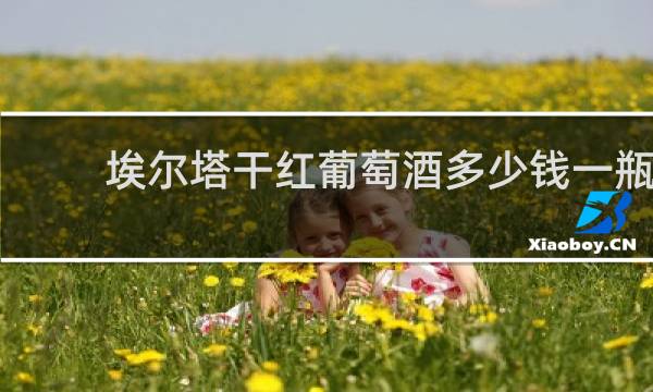 埃尔塔干红葡萄酒多少钱一瓶