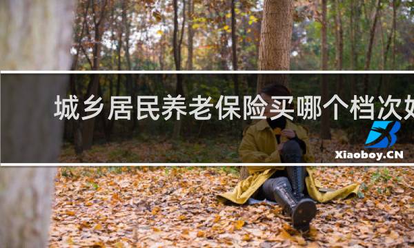 城乡居民养老保险买哪个档次好