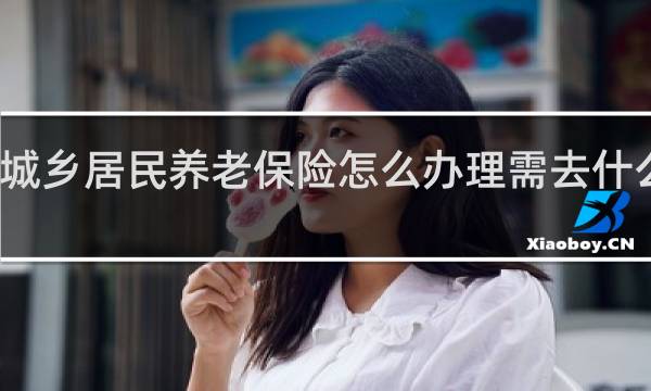 城乡居民养老保险怎么办理需去什么地方
