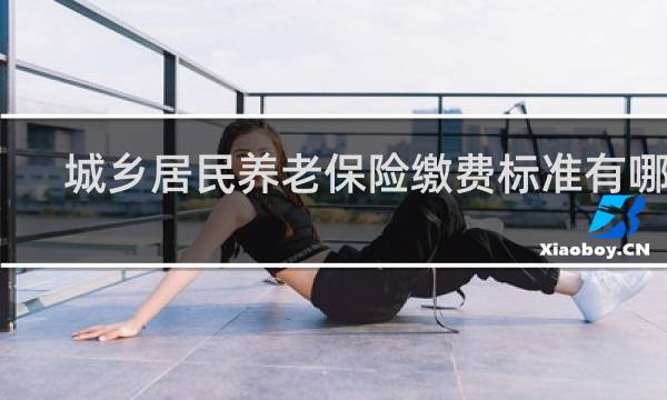 城乡居民养老保险缴费标准有哪些