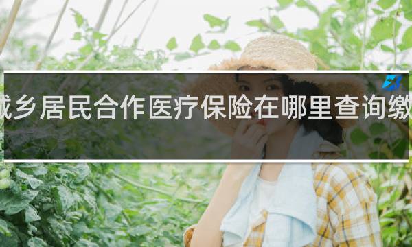 城乡居民合作医疗保险在哪里查询缴费情况