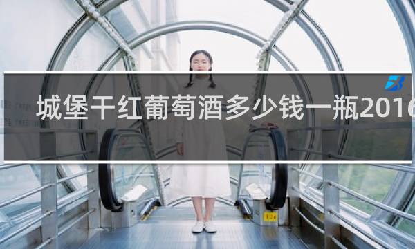 城堡干红葡萄酒多少钱一瓶2016年