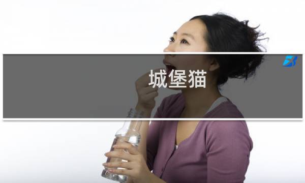 城堡猫 攻略