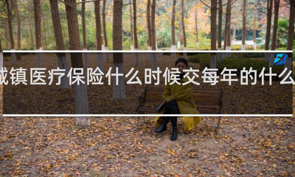 城镇医疗保险什么时候交每年的什么时候交
