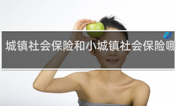 城镇社会保险和小城镇社会保险哪个好