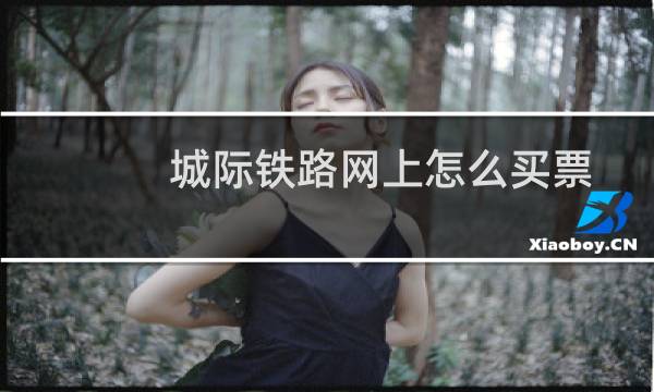 城际铁路网上怎么买票