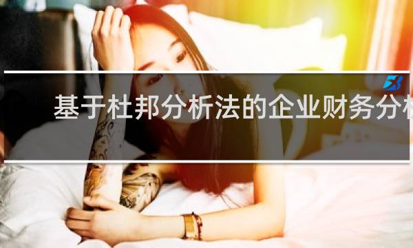 基于杜邦分析法的企业财务分析