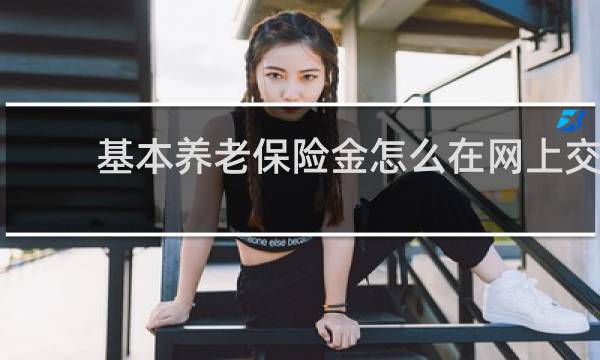 基本养老保险金怎么在网上交