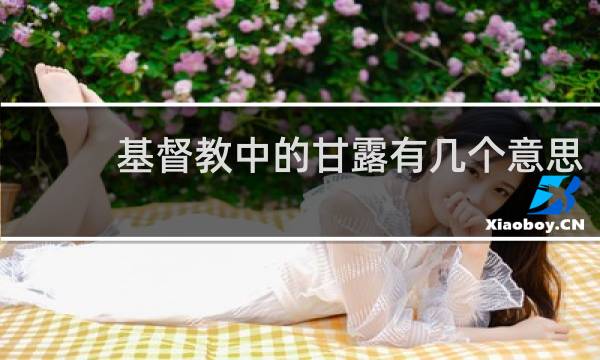 基督教中的甘露有几个意思
