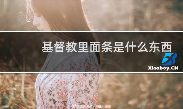 基督教里面条是什么东西