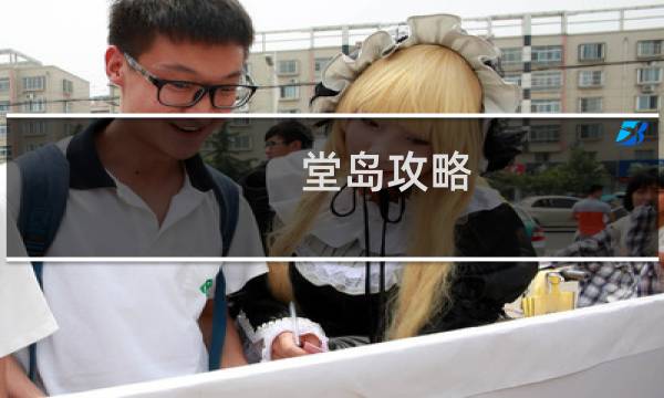 堂岛攻略