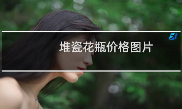堆瓷花瓶价格图片