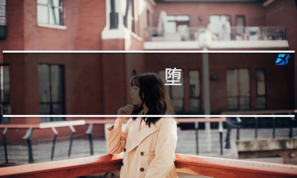 堕 攻略