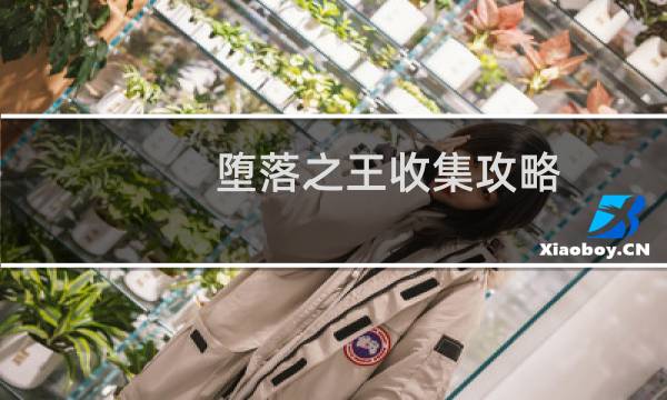 堕落之王收集攻略