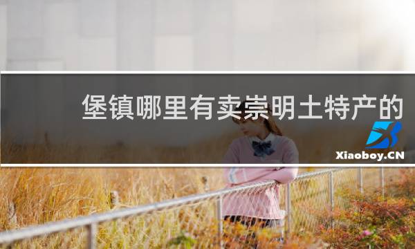 堡镇哪里有卖崇明土特产的