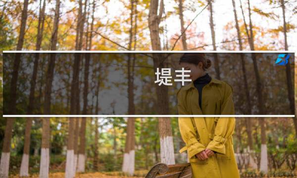 堤丰 最终幻想