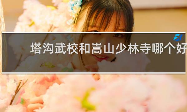 塔沟武校和嵩山少林寺哪个好