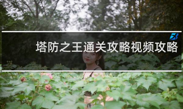 塔防之王通关攻略视频攻略