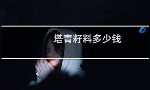 塔青籽料多少钱