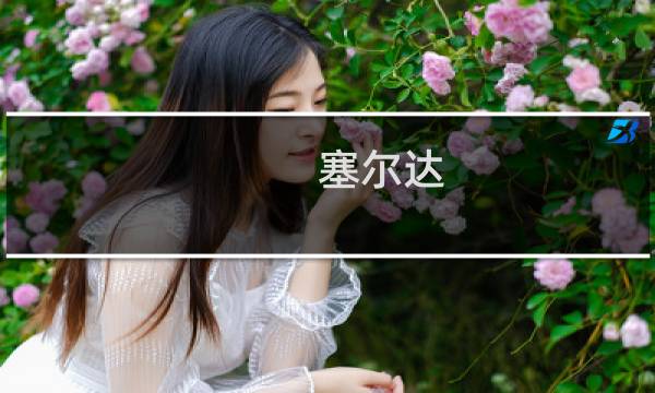 塞尔达 攻略下载