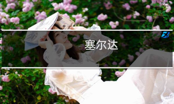 塞尔达 攻略pdf