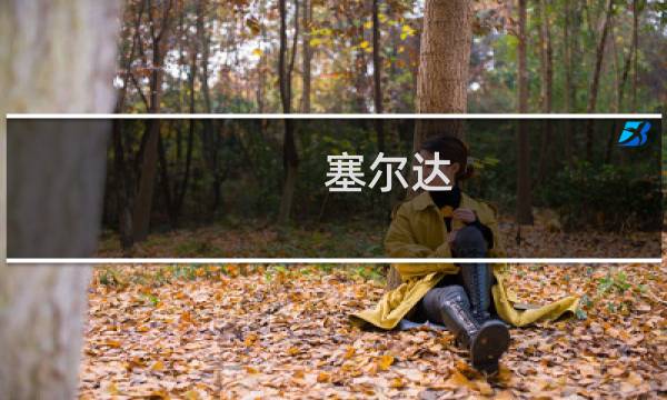 塞尔达 进阶攻略
