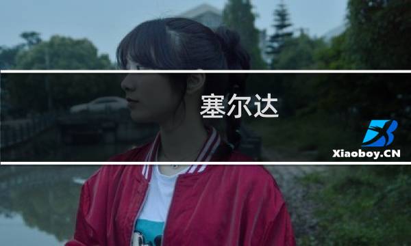 塞尔达 鸟人攻略