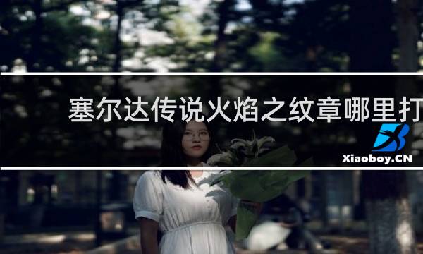 塞尔达传说火焰之纹章哪里打