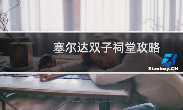 塞尔达双子祠堂攻略