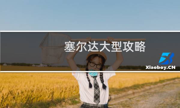 塞尔达大型攻略