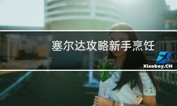 塞尔达攻略新手烹饪