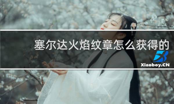塞尔达火焰纹章怎么获得的