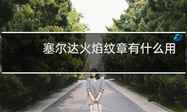 塞尔达火焰纹章有什么用
